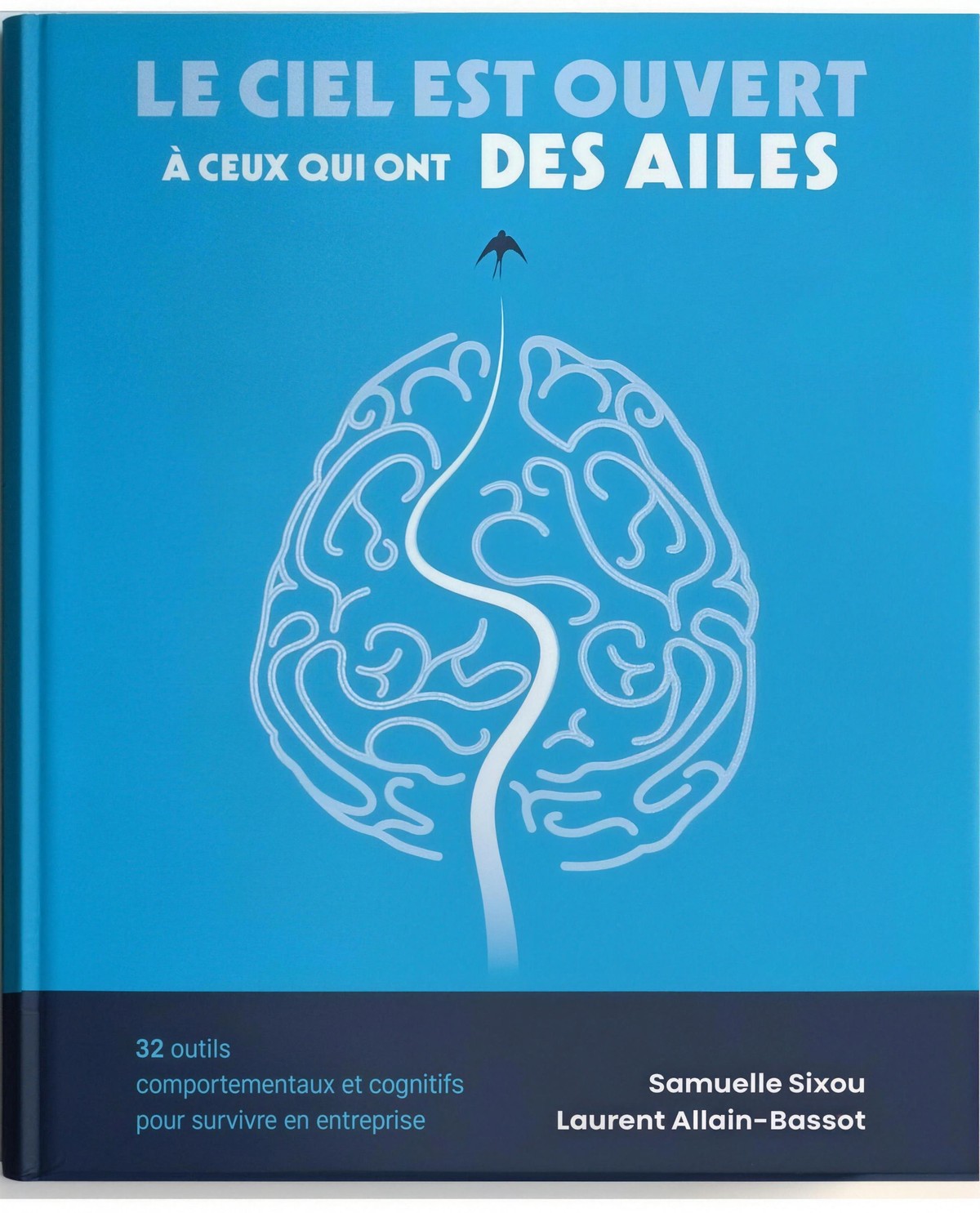 Couverture du livre Le ciel est ouvert à ceux qui ont des ailes